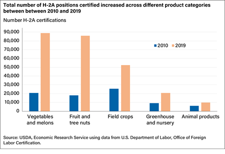 A bar chart shows that the total number of H-2A positions certified increased across different product categories between 2010 and 2019.