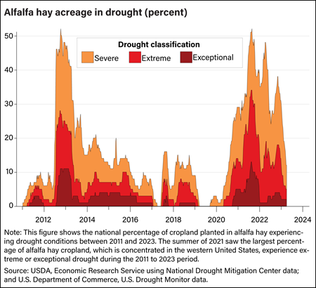 An area chart shows the share of U.S. alfalfa hay acreage experiencing drought by severity level from January 1, 2000 to April 4, 2023.