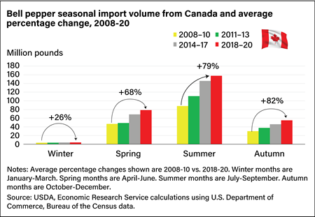 A clustered column chart comparing the change in volume of bell pepper imports from Canada by season with a marked increase in summer and autumn imports from the 2008-10 time span to the 2018-20 time span.