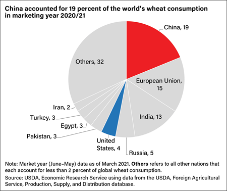 A pie chart showing the percentage of wheat consumed by different countries in marketing year 2020/21.