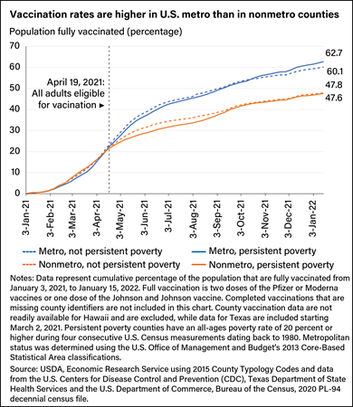 Line chart showing COVID-19 vaccination rates in U.S. counties, comparing metro (not persistent poverty), nonmetro (not persistent poverty), metro (persistent poverty), and nonmetro (persistent poverty) from January 3, 2021 to January 15, 2022.