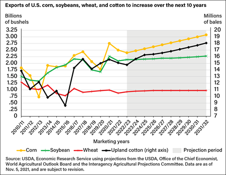 Line chart showing exports of U.S. corn, soybeans, wheat, and cotton in billions of bushels (left y axis) and millions of bales (for cotton, right y axis) from marketing years 2010/11 to 2022/23 with projections for 2023/24 to 2031/32.