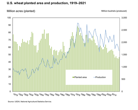 Bar graph of U.S. wheat planted area and production, 1919–2021