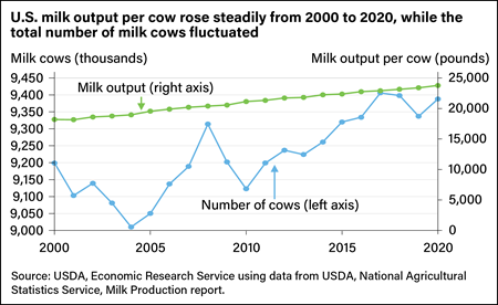 Line chart indicating number of U.S. milk cows (in the thousands) and milk output (in pounds) from 2000 to 2020.