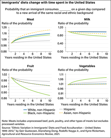 Four line charts showing how the probability that immigrants of specified backgrounds will eat meat, milk, fruit, and vegetables changes over time.
