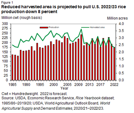 Reduced harvested area is projected to pull U.S. 2022/23 rice production down 8 percent