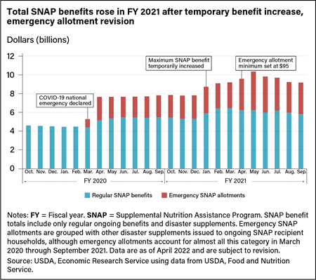 A Lifeline during COVID-19: The Impact of SNAP Boosts for Older