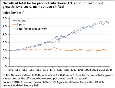 Line chart showing changes in agricultural output, input use, and total factor productivity from 1948 to 2019