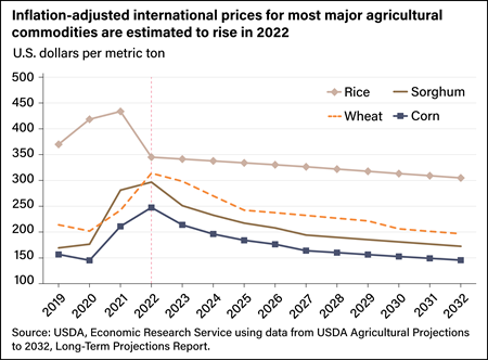 Line chart showing global price changes for rise, wheat, sorghum, and corn in U.S. dollars per metric ton.