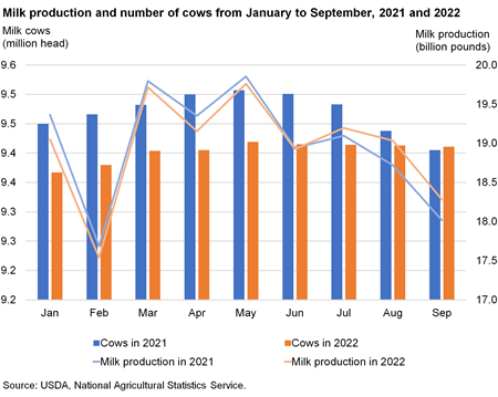 Bar chart of Milk production and number of cows from January to September, 2021 and 2022