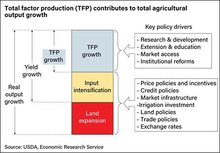 Graphic depiction of three main contributors of agricultural output growth: total factor productivity, input intensification, and land expansion.