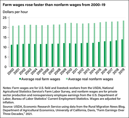 Bar chart comparing average real farm wages with average real nonfarm wages from 2000 to 2019.