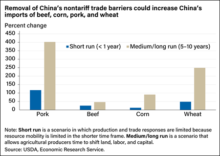 Bar chart showing short-run (less than 1 year) and medium/long-run (5 to 10 years) scenarios for increases in China’s imports of beef, corn, pork, and wheat if nontariff trade barriers were removed.