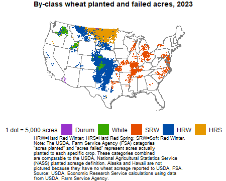 United States map with dots desplaying wheat planted and failed from 2022 by class