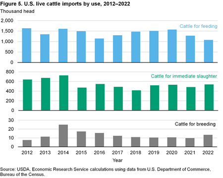 Bar charts showing U.S. live cattle imports by use from 2012–2022