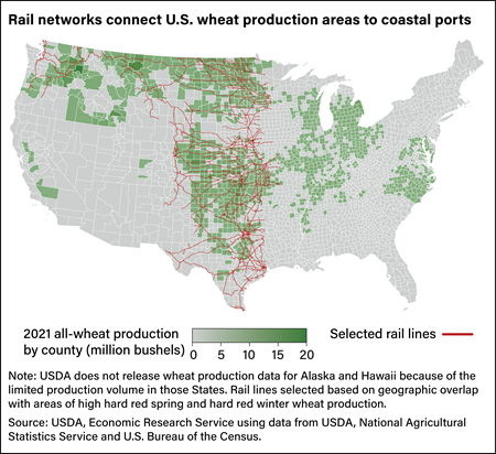 U.S. map showing rail networks upon which wheat is transported.