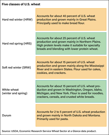 Graphic describing five classes of U.S. wheat: hard red winter, hard red spring, soft red winter, white, and durum.