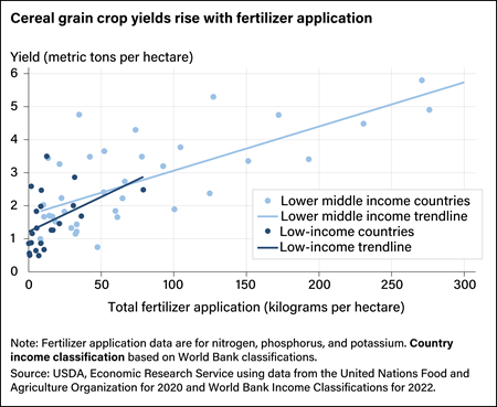 Scatter chart showing total fertilizer application in kilograms per hectare and trendline for cereal grain crops in lower middle income countries and low-income countries.
