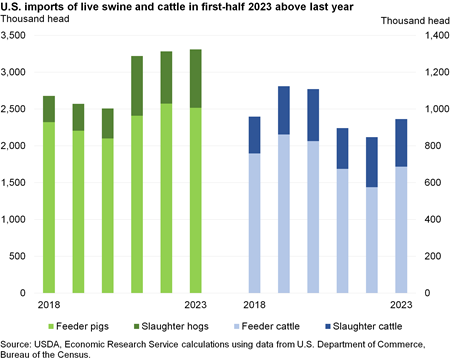 Bar chart showing that U.S. imports of live swine and cattle in first-half 2023 are above last year