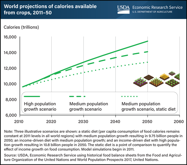 USDA ERS - Chart Detail