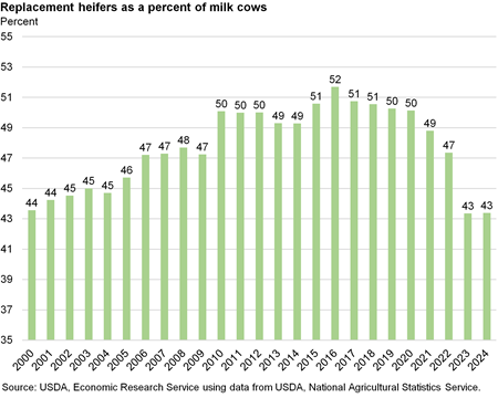 Bar chart of replacement heifers as a percent of milk cows over time where 2023 and 2024 are lower than previous years