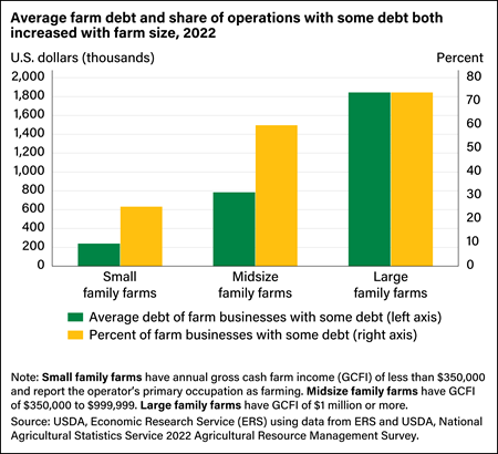 Bar and line chart showing average debt of farm businesses holding some debt and share of farm businesses holding some debt.