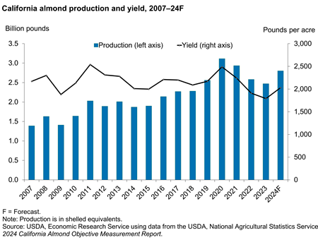 Combination bar and line chart demonstrating almond production increasing from 2007 to 2024 while yield varies over time