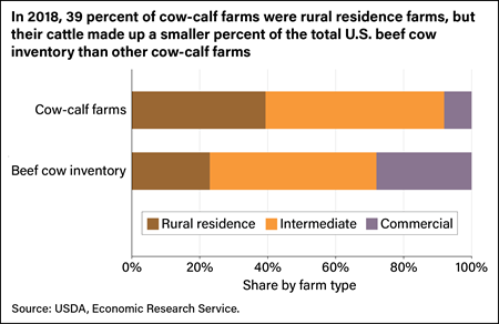 Horizontal bar chart showing percent shares of cow-calf farms and total U.S beef cow inventory held by rural residence, intermediate, and commercial producers.