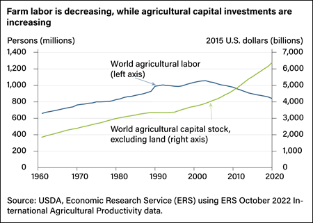 Line chart showing world agricultural labor, in millions of persons, and value of world agricultural capital, excluding land, in billions of 2015 U.S. dollars, from 1960 to 2020.