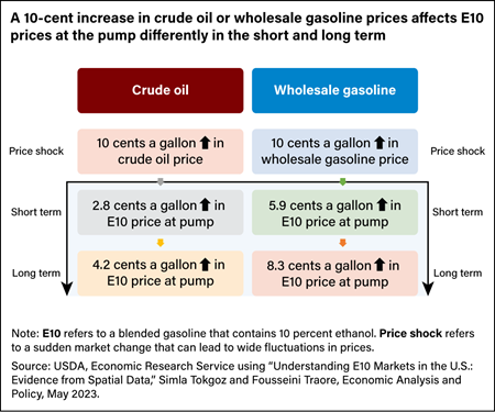 Graphic illustration comparing the effects of a 10-cent price increase in crude oil or gasoline on E10 prices at the pump in the short- and long-term.