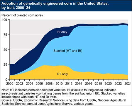 An area chart shows the adoption of genetically engineered corn varieties from 2000 to 2024. HT indicates herbicide-tolerant varieties; Bt (Bacillus thuringiensis) indicates insect-resistant varieties (containing genes from the soil bacterium Bt).
