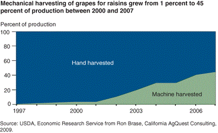 Mechanical harvesting of grapes for raisins grew from 1 percent to 45 percent of production between 2000 and 2007