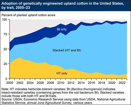 An area chart shows the adoption of genetically engineered cotton varieties from 2000 to 2023. HT indicates herbicide-tolerant varieties; Bt (Bacillus thuringiensis) indicates insect-resistant varieties (containing genes from the soil bacterium Bt).