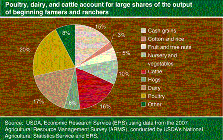 Poultry, dairy, and cattle account for large shares of the output of beginning farmers and ranchers