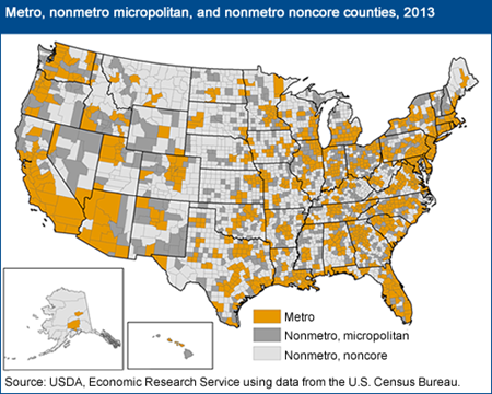 Metro, nonmetro micropolitan, and nonmetro noncore counties, 2013