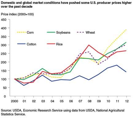Domestic and global market conditions have pushed some U.S. producer prices higher over the past decade