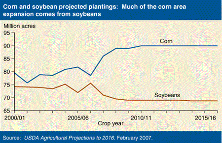 Corn and soybean projected plantings: Much of the corn area expansion comes from soybeans