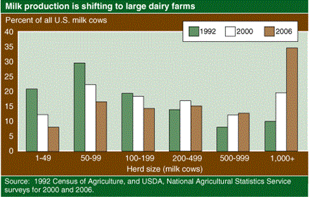 Milk production is shifting to large dairy farms