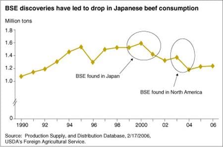 BSE discoveries have led to drop in Japanese beef consumption