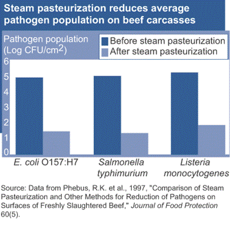 steam pasteurization reduces average pathogen population on beef carcasses