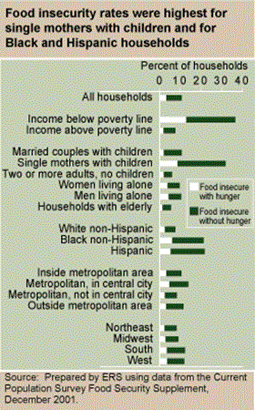Food insecurity rates were highest for single mothers with children and for Black and Hispanic households.