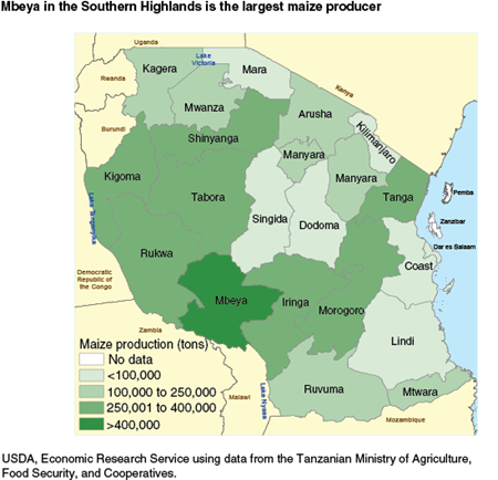 Mbeya in the Southern Highlands is the largest maize producer