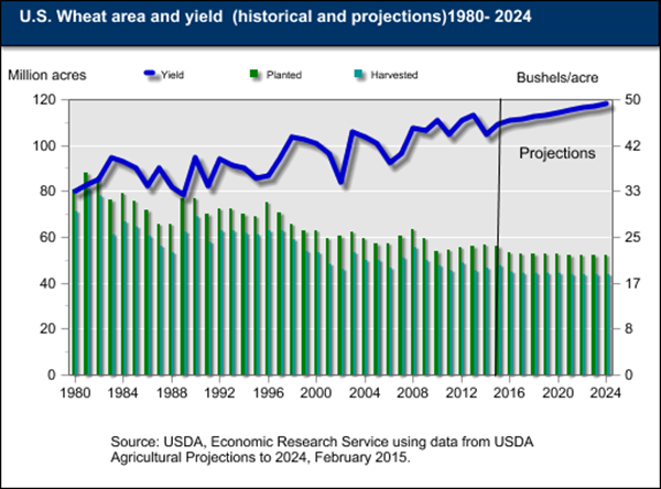 USDA ERS - Chart Detail