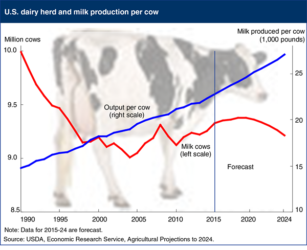 USDA ERS - Chart Detail