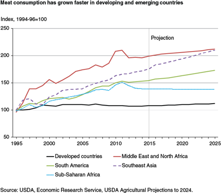 Meat consumption has grown faster in developing and emerging countries