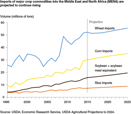 Imports of major crop commodities into the Middle East and North Africa (MENA) are projected to continue rising