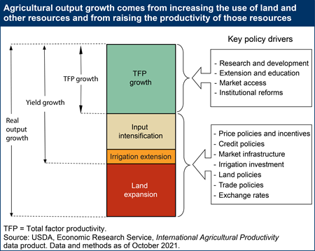 Agricultural output growth comes from increasing the use of land and other resources and from raising the productivity of those resources