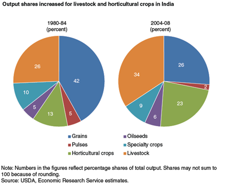 Output shares increased for livestock and horticultural crops in India