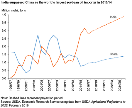 India surpassed China as the world's largest soybean oil importer in 2013/14