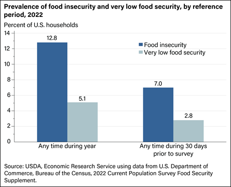 Prevalence of food insecurity and very low food security, by reference period, 2020